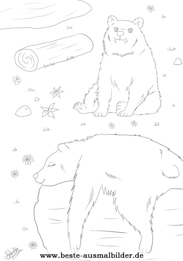 bär ausmalbilder malvorlagen von bären aus der tierwelt