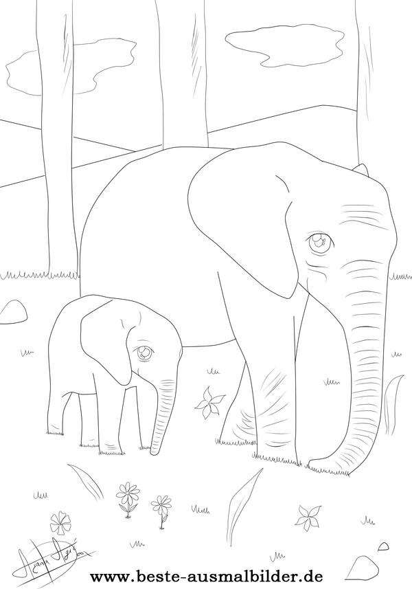 ausmalbilder tiere elefant  x13 ein bild zeichnen