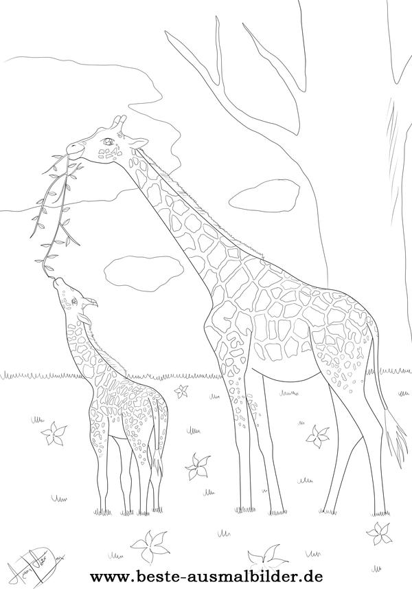 Giraffe Malvorlage- Kostenlose Ausmalbilder von Tieren für Kinder zum