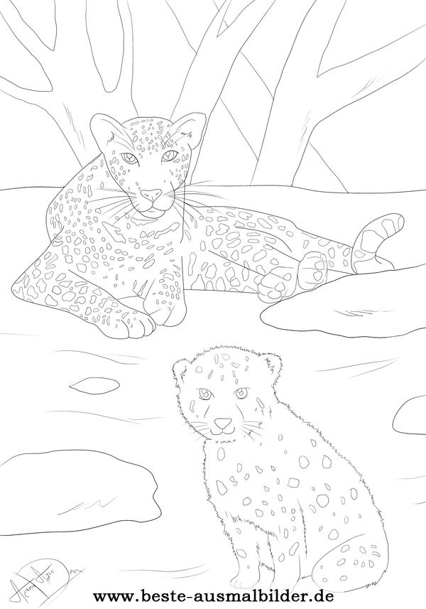 Leopard Ausmalbild- Ausmalbilder von Tieren zum kostenlosen Download