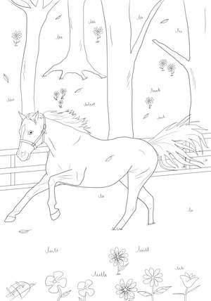 Schleich Pferde Bilder Zum Ausdrucken