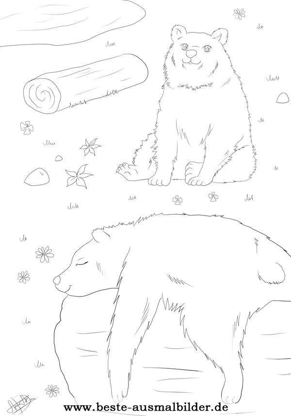 Ausmalbild Bär