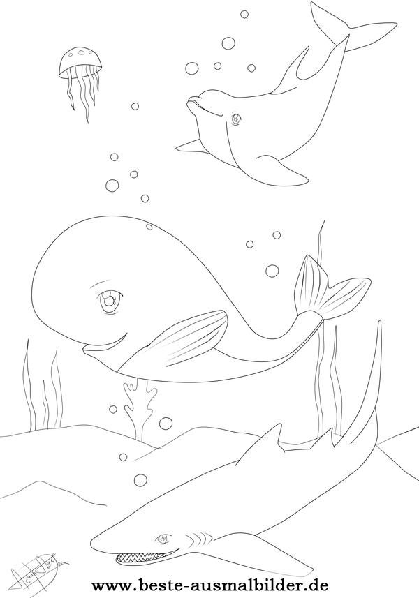 Ausmalbilder Fische Hai, Delfin, Wal
