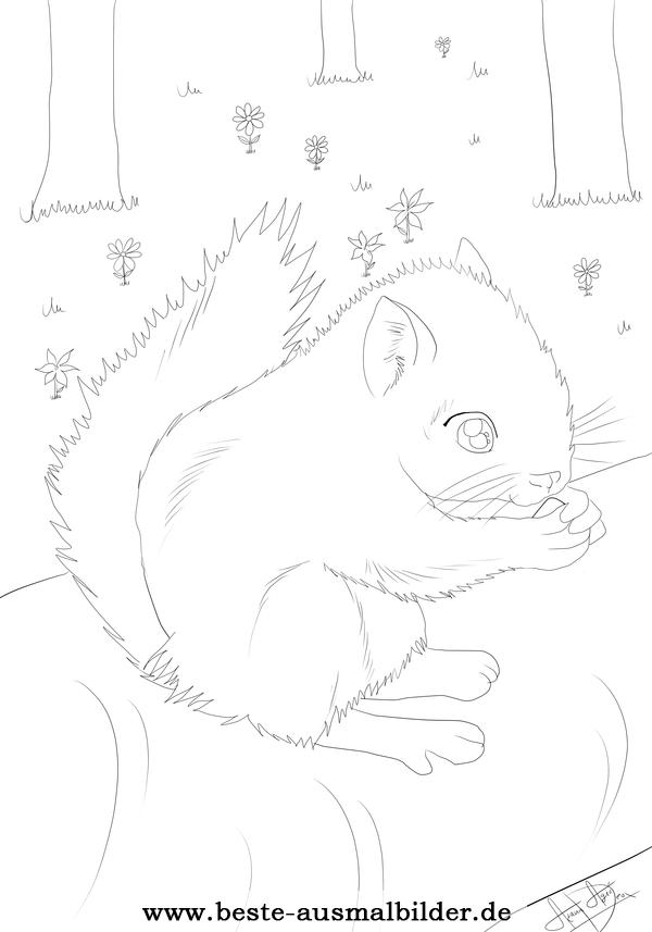 Ausmalbild Eichhörnchen