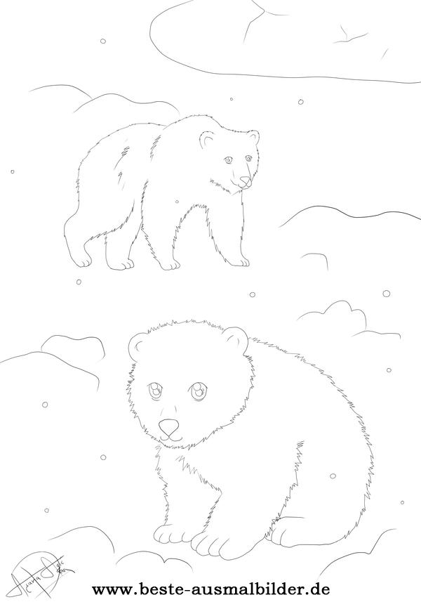 Ausmalbild Eisbär Polarbär