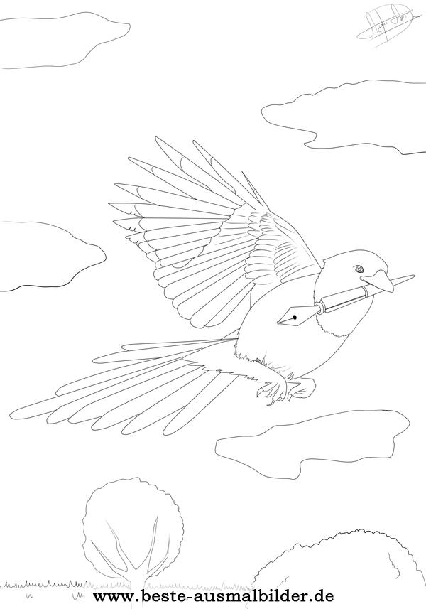 Ausmalbild Elster Vogel