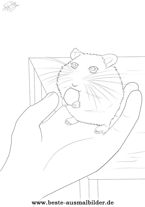 Ausmalbild Hamster