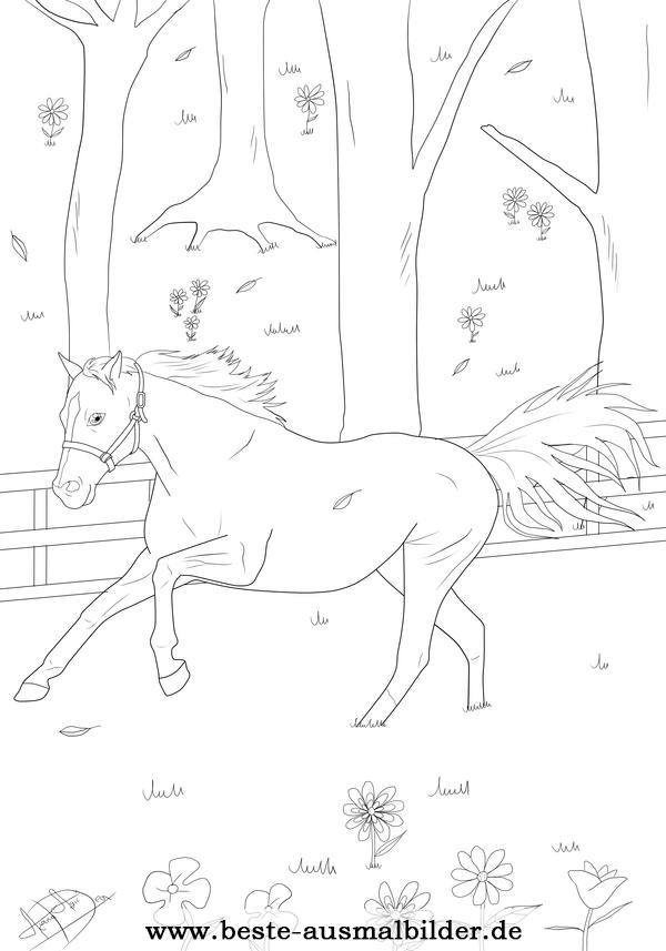 Ausmalbild Pferd