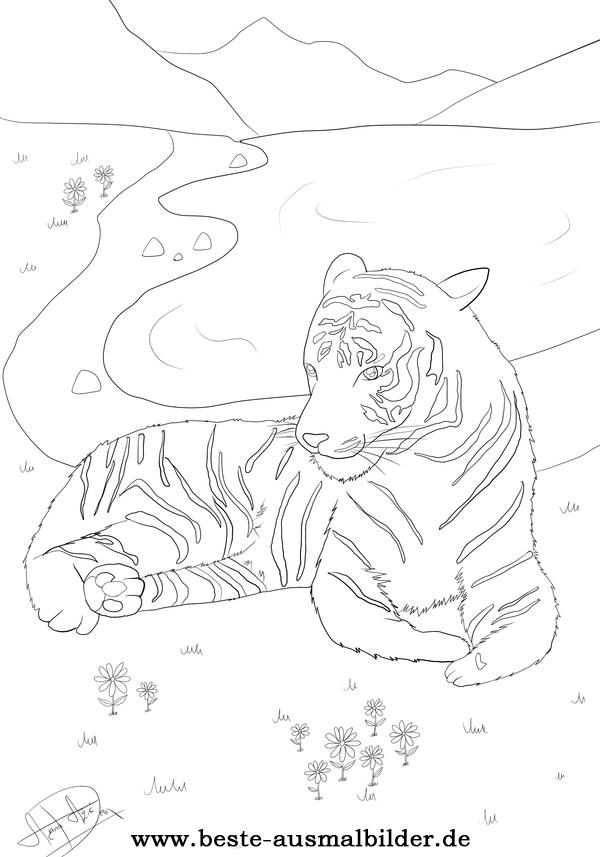 Ausmalbild Tiger
