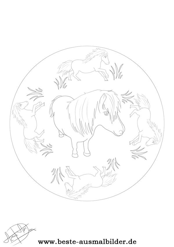 Mandala Pony