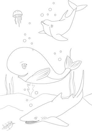 Ausmalbilder Fische Hai, Delfin, Wal
