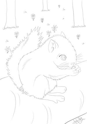 Ausmalbild Eichhörnchen