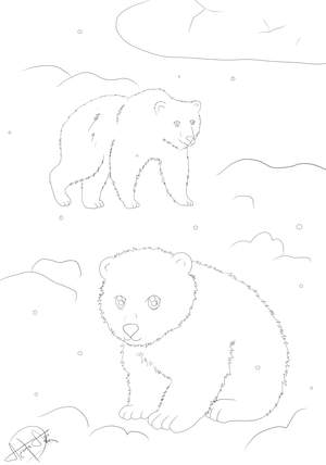 Ausmalbild Eisbär Polarbär