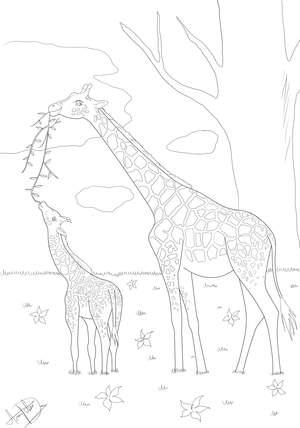 Ausmalbild Giraffe