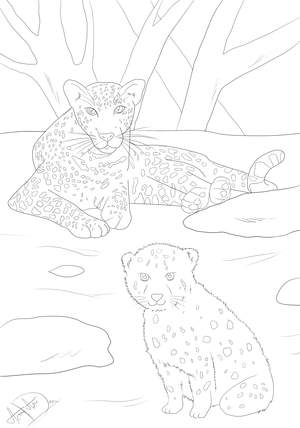 Ausmalbild Leopard