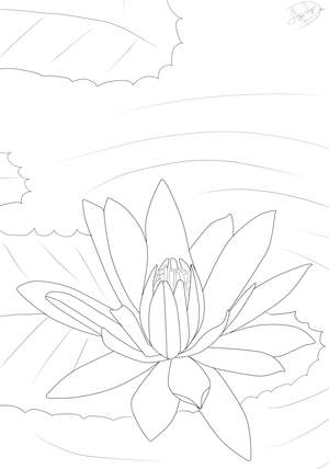 Ausmalbild Lotusblume