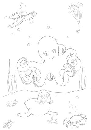 Ausmalbild Fische Oktopus, Seehund