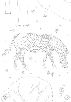 Ausmalbild Zebra
