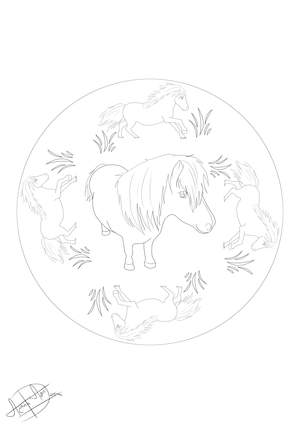 Mandala Pony